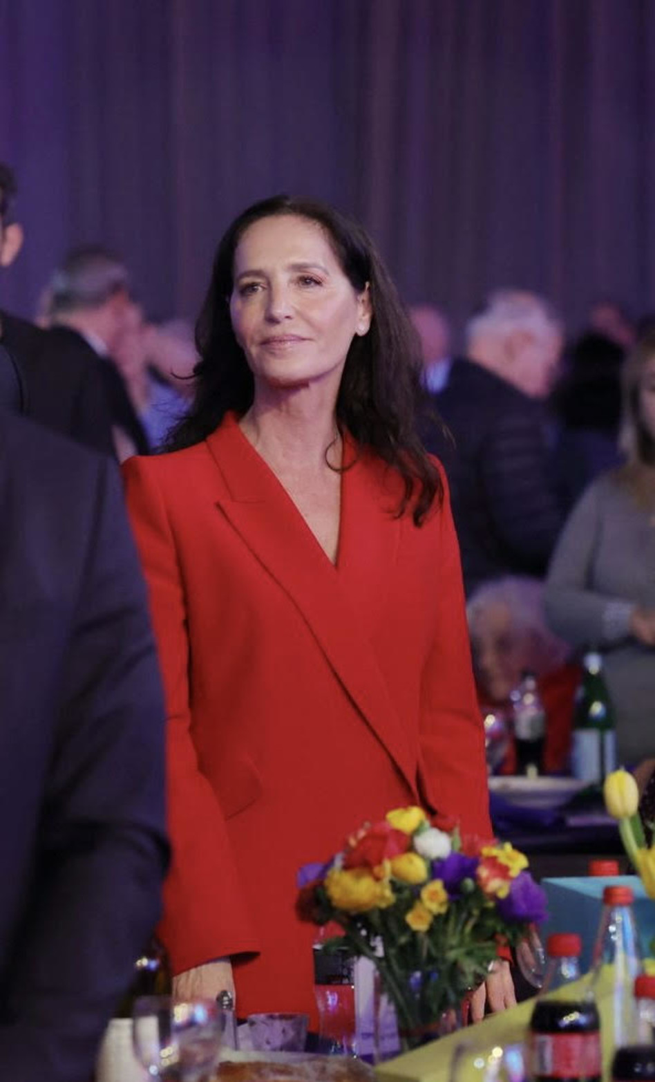 עירית שטראוס (צילום: פביאן קולדרוף)