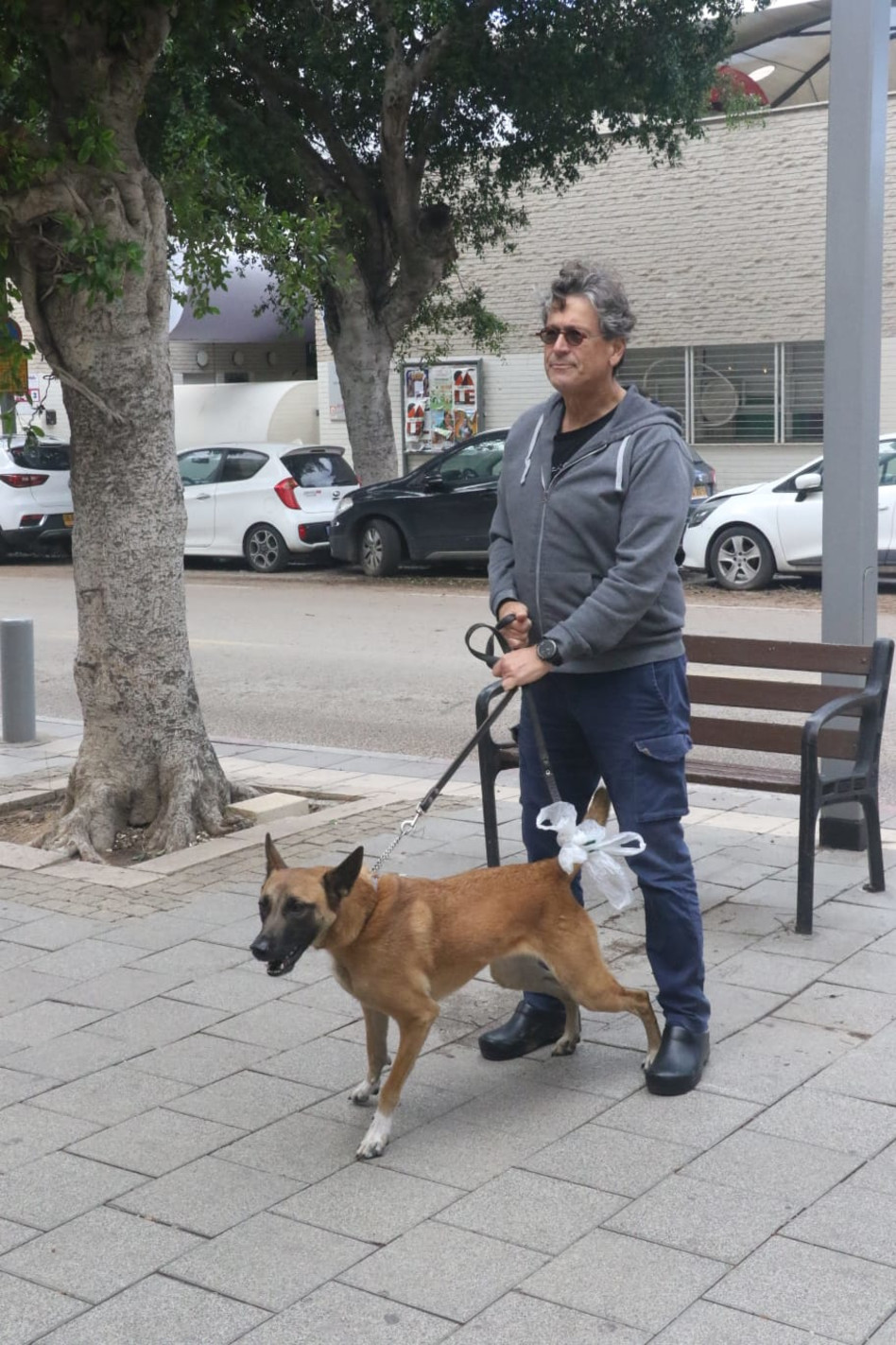 ערד ניר (צילום: פול סגל)