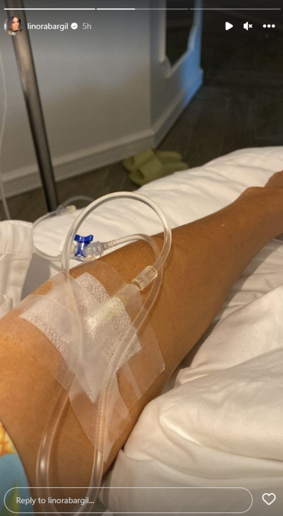 לינור אברג'יל (צילום: צילום מסך אינסטגרם)