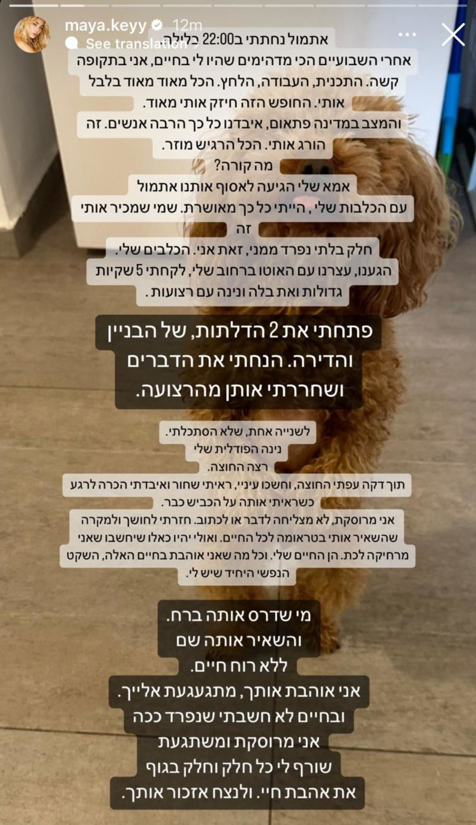 מאיה קיי איבדה את הכלבה שלה (צילום: צילום מסך אינסטגרם)
