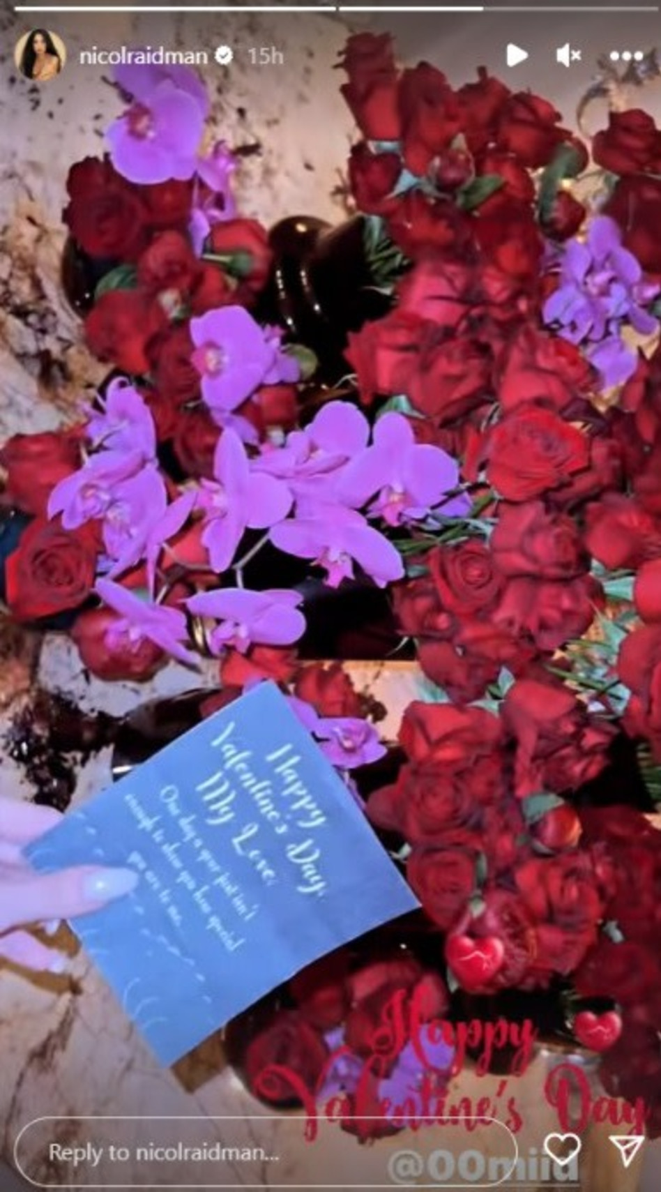 ניקול ראידמן (צילום: צילום מסך אינסטגרם)