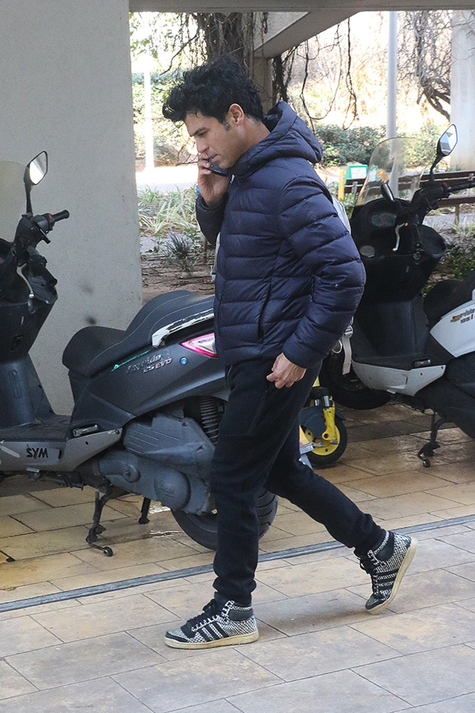 טל מוסרי (צילום: פול סגל)