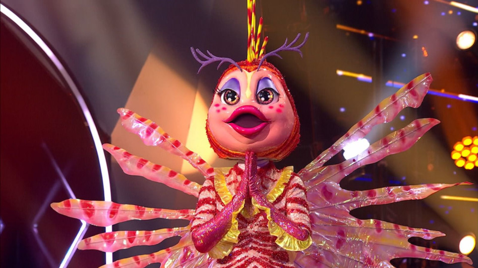 הדגה - הזמר במסכה (צילום: באדיבות קשת 12)