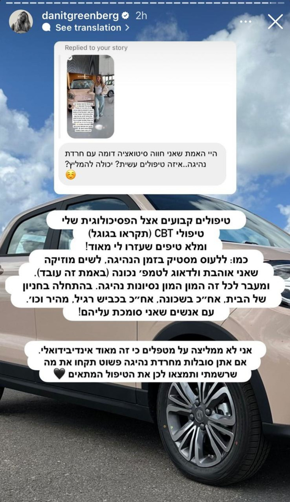 דנית גרינברג על טראומת הנהיגה (צילום: צילום מסך אינסטגרם)