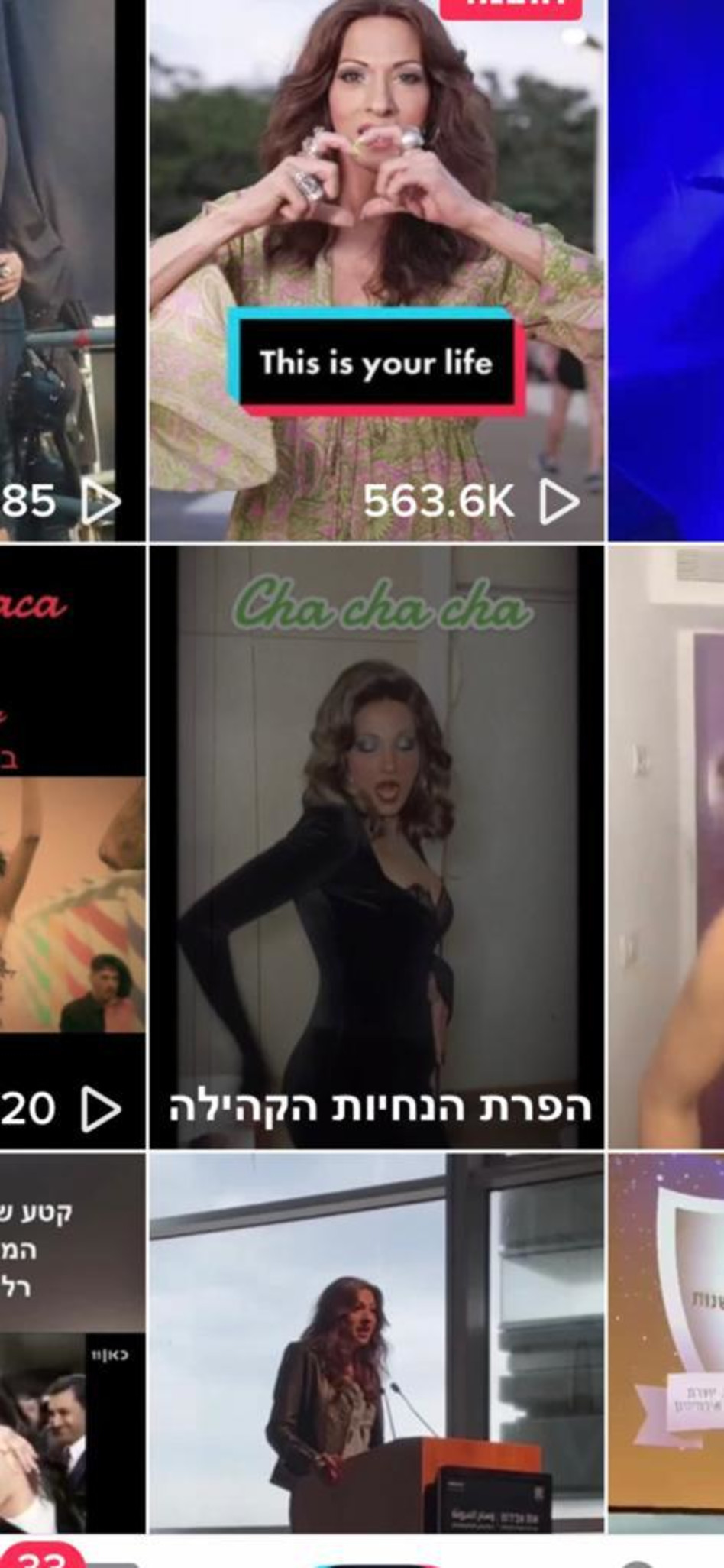 דנה אינטרנשיונל (צילום: צילום מסך טיקטוק)