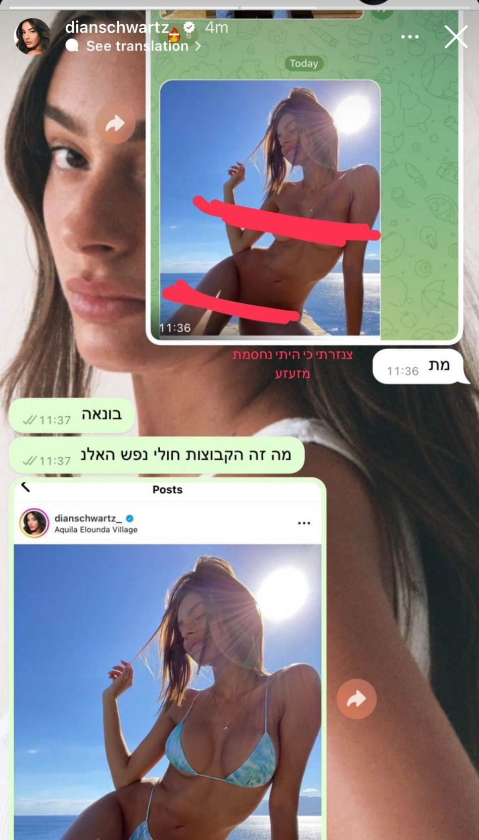 תמונת עירום מזויפת של דיאן שוורץ הופצה ברשת (צילום: צילום מסך אינסטגרם)