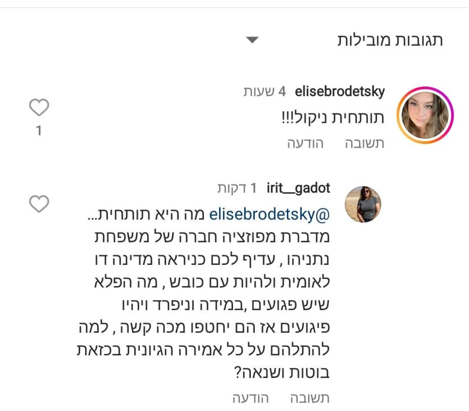 אירית גדות (צילום: צילום מסך אינסטגרם)