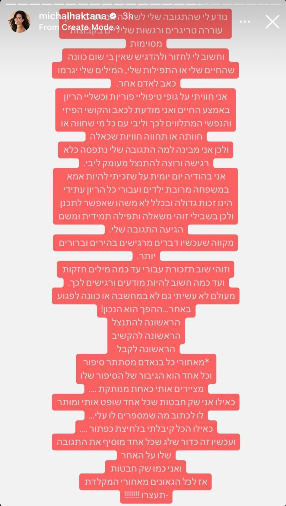 מיכל הקטנה עונה למבקרים (צילום: צילום מסך אינסטגרם)