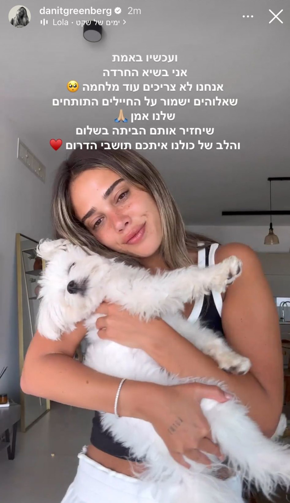 דנית גרינברג על מבצע ''מגן וחץ'' (צילום: צילום מסך אינסטגרם)