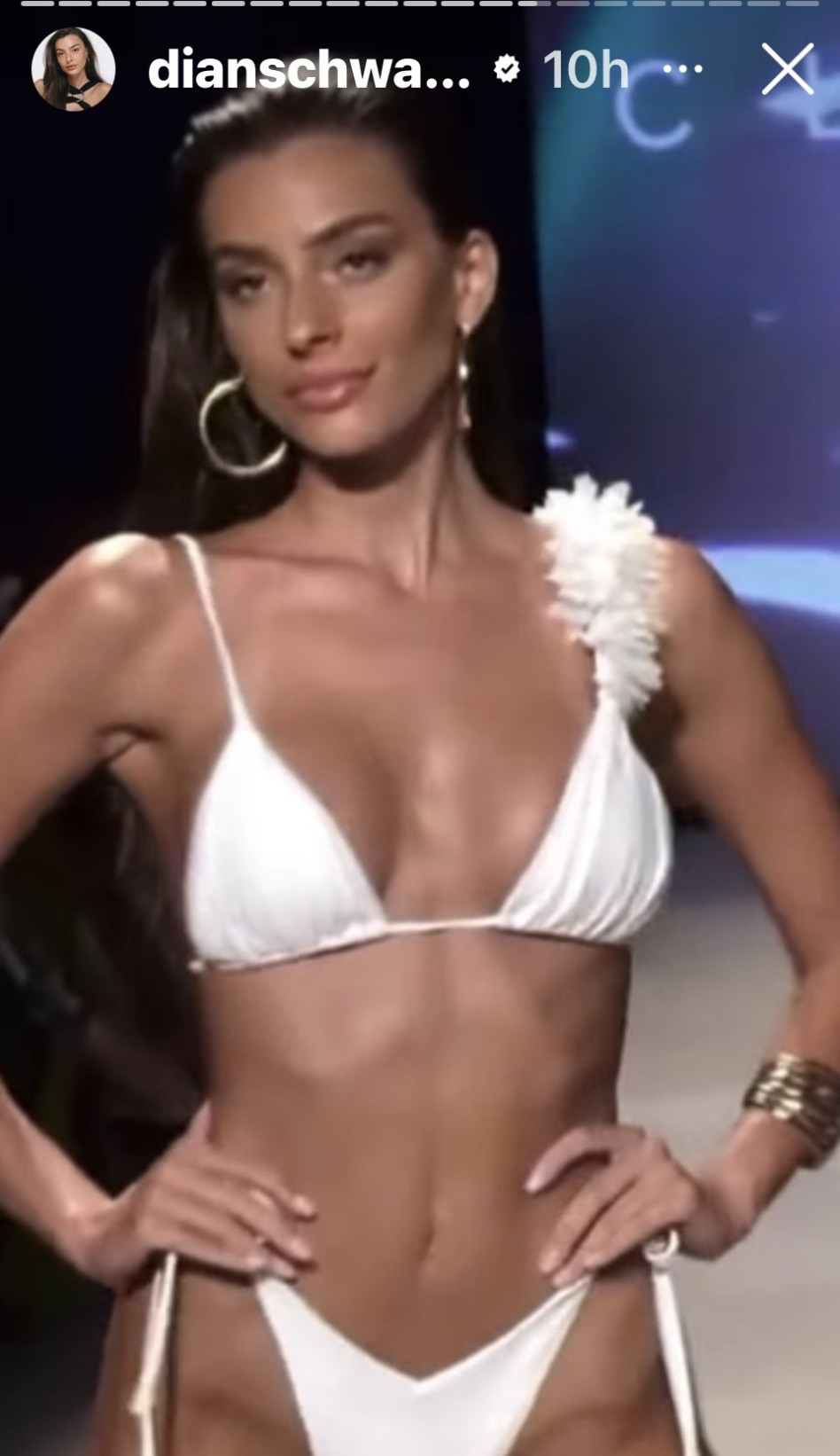 דיאן שוורץ (צילום: צילום מסך אינסטגרם)