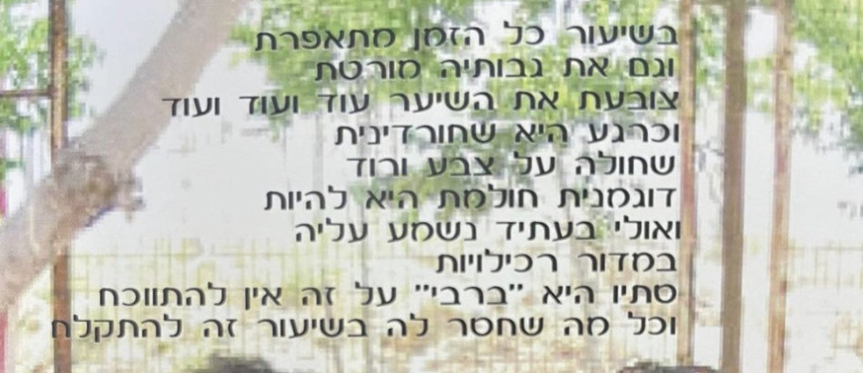 קטע מתוך תמונת ספר המחזור  (צילום: צילום מסך אינסטגרם)