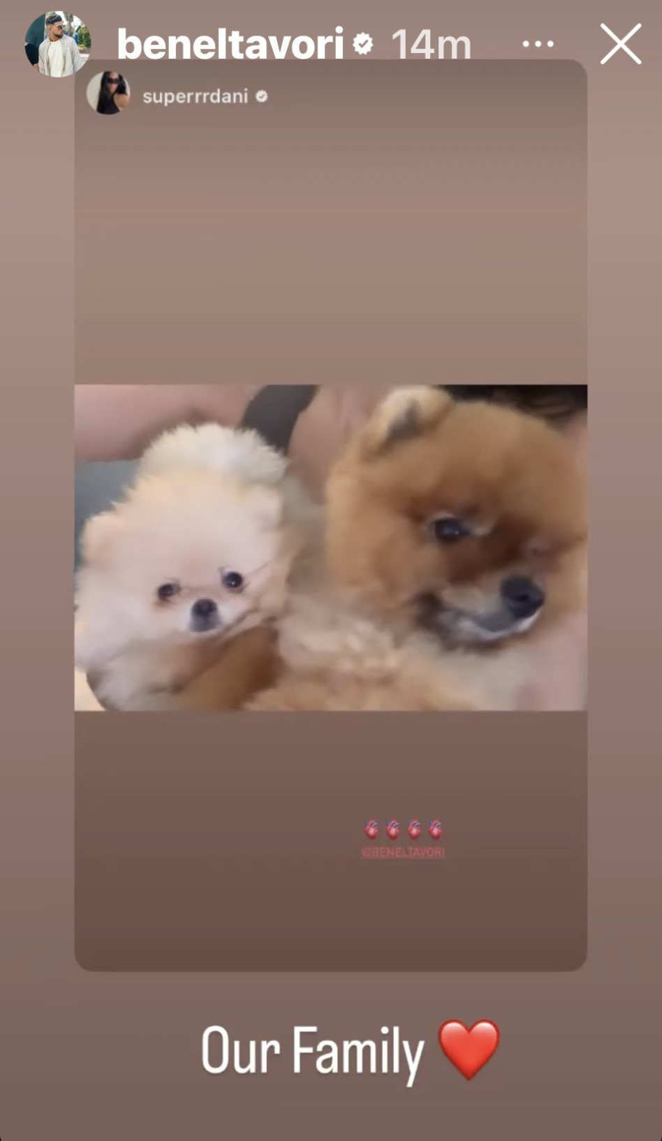 הכלבים של דני לוי ובן אל תבורי (צילום: צילום מסך מתוך עמוד האינסטגרם של OTOT)