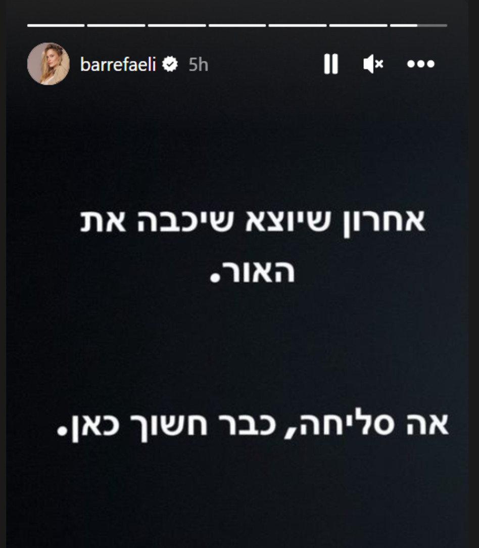 בר רפאלי נגד ביטול עילת הסבירות (צילום: צילום מסך אינסטגרם)