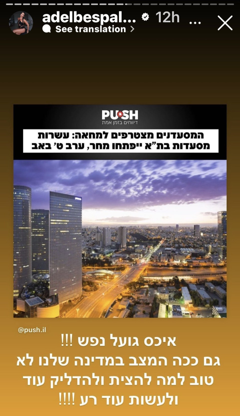 אדל בספלוב נגד השפים שיפתחו בתשעה באב (צילום: צילום מסך אינסטגרם)