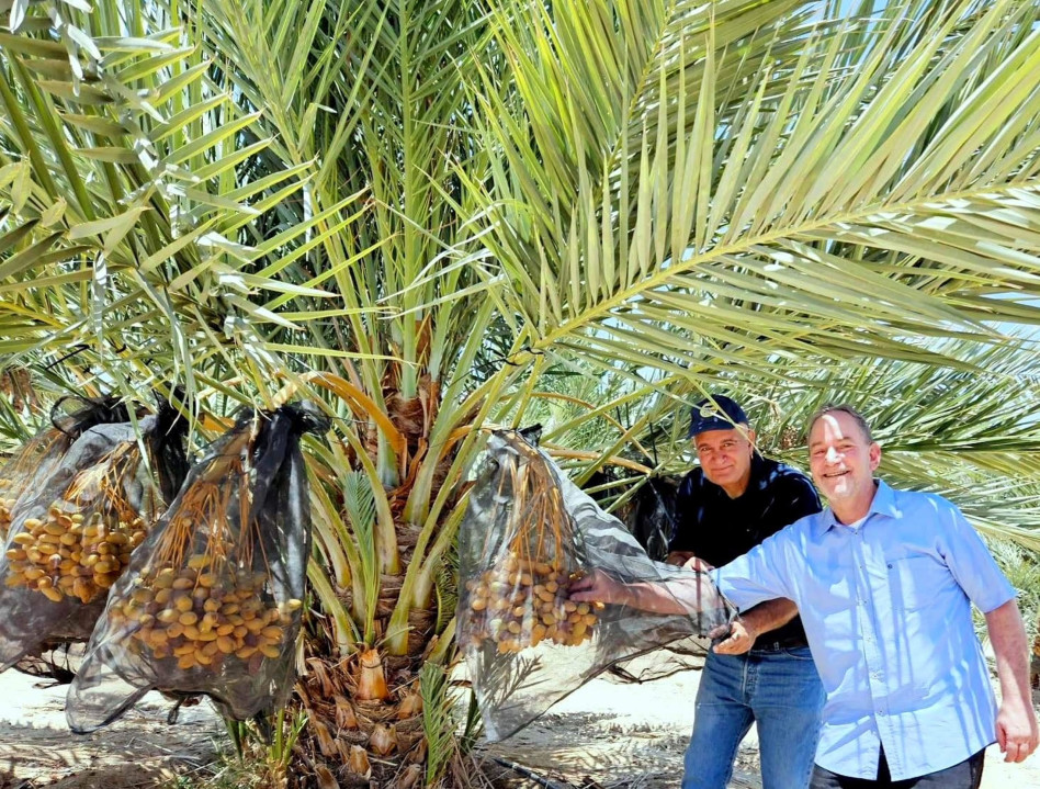 גלעד שדמון ומאיר צור (צילום: אוסי ניר, מועצה אזורית הערבה התיכונה)
