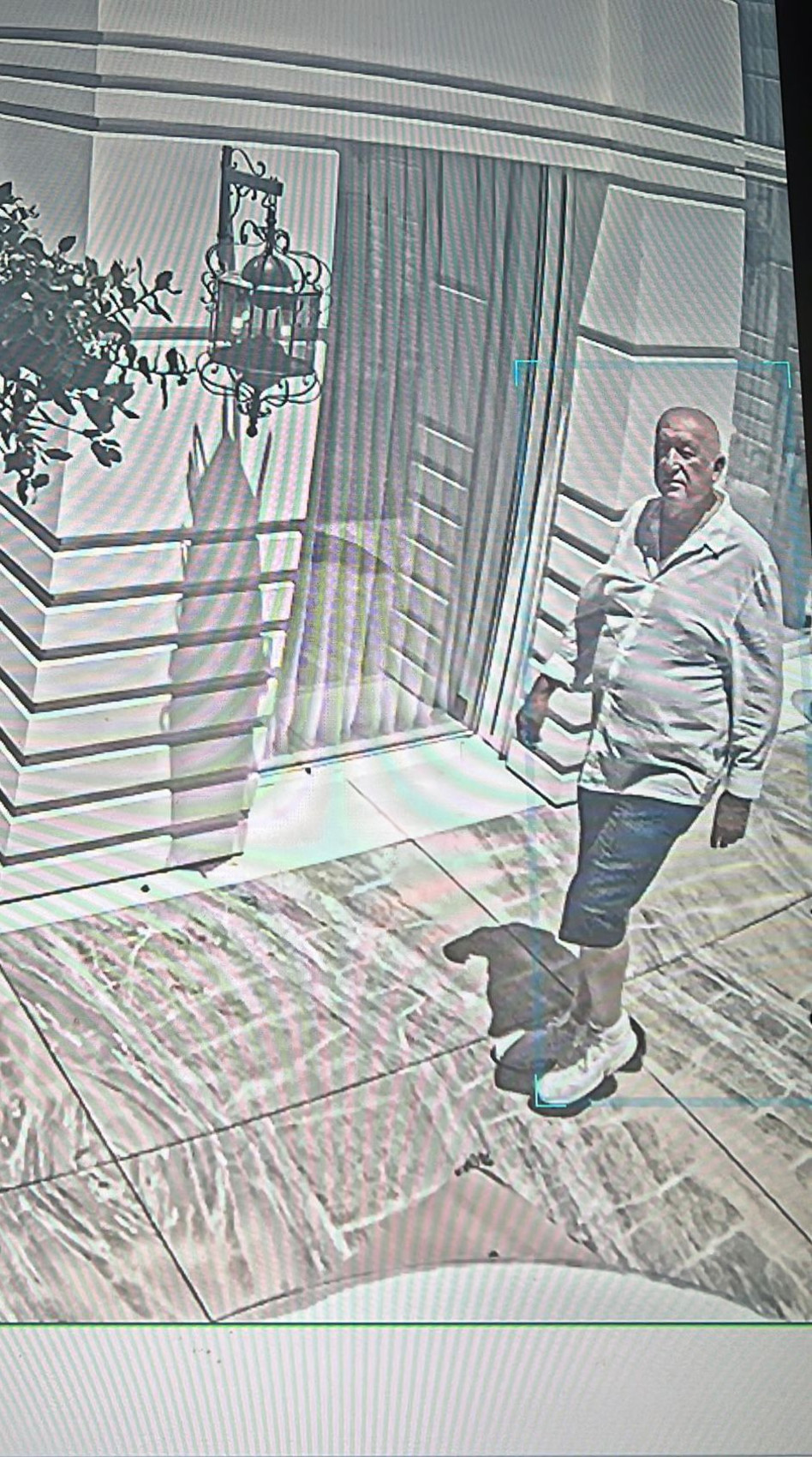 מיכאל צ'רנוי בשטח ביתה של ניקול ראידמן (צילום: פרטי)