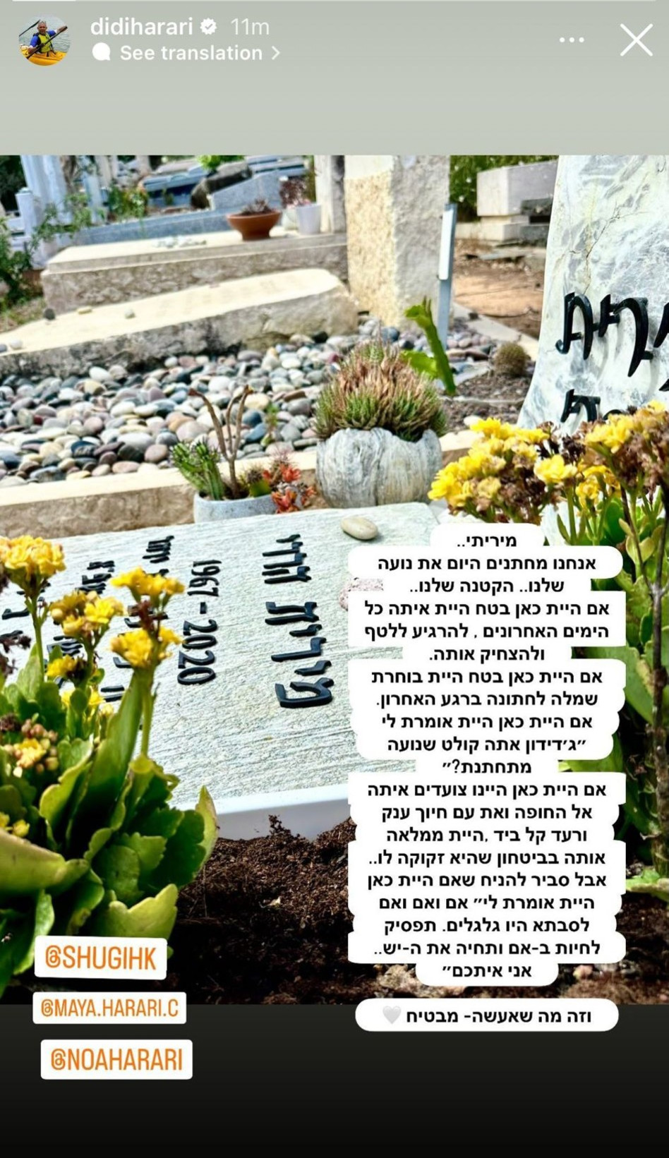 דידי הררי (צילום: צילום מסך אינסטגרם)