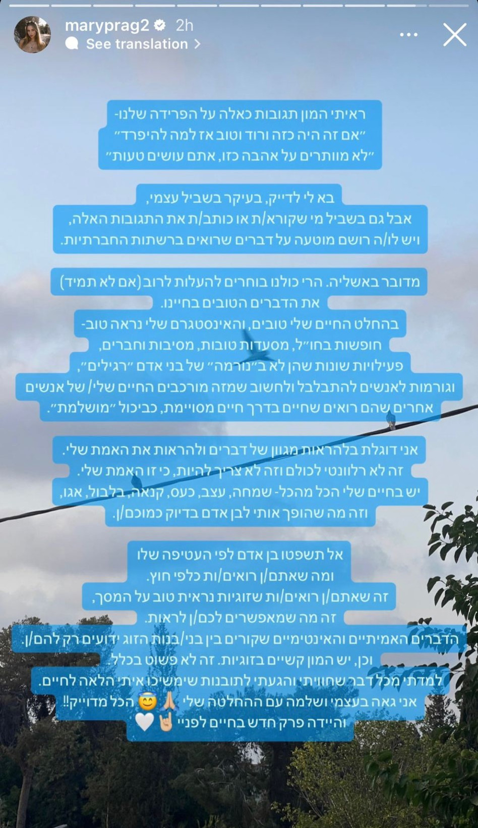 מרי פרגלין על הזוגיות שנגמרה עם מייקל לואיס (צילום: צילום מסך אינסטגרם)