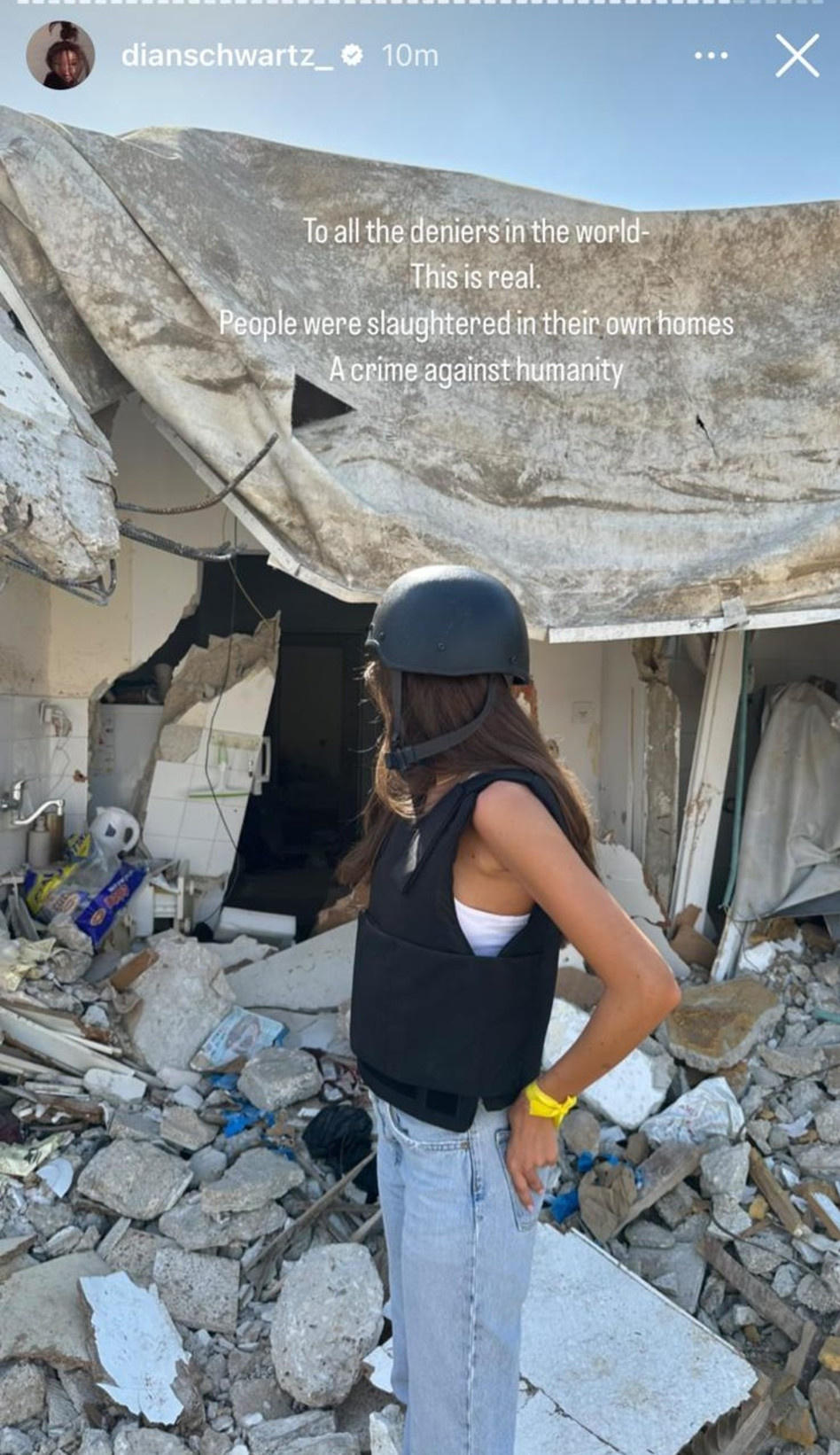 דיאן שוורץ (צילום: צילום מסך אינסטגרם)