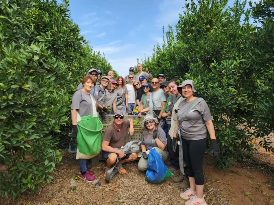 עובדי מקורות בקטיף (צילום: באדיבות מקורות)