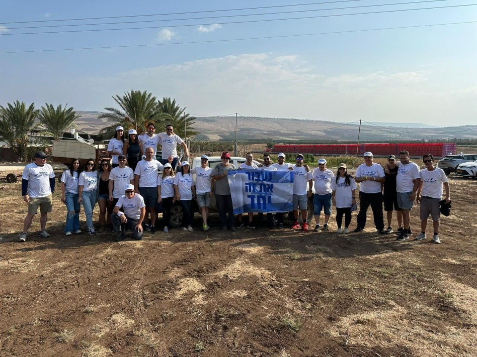 עובדי כלל ביטוח ופיננסים במסיק זיתים (צילום: באדיבות כלל ביטוח ופיננסים)