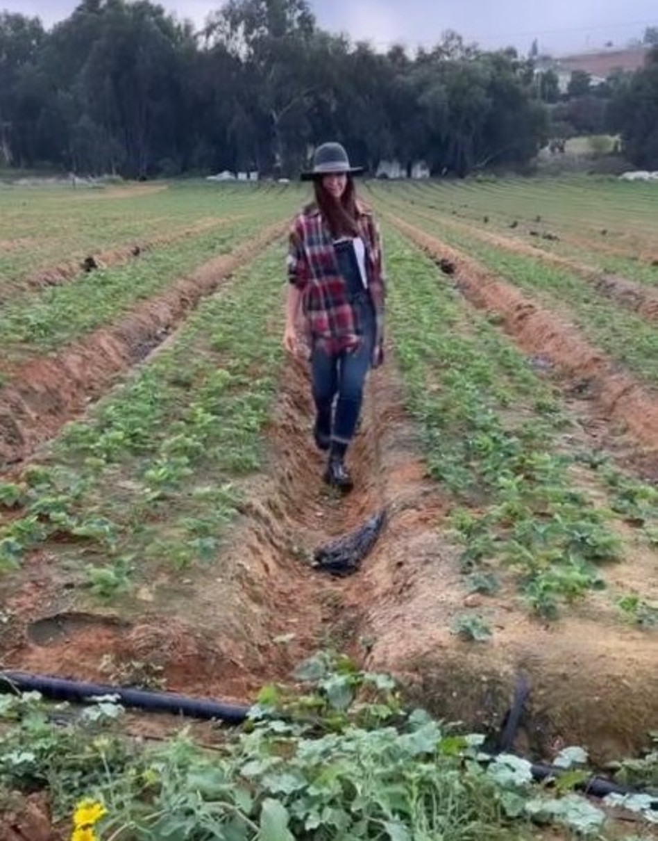 לאה שנירר (צילום: צילום מסך אינסטגרם)