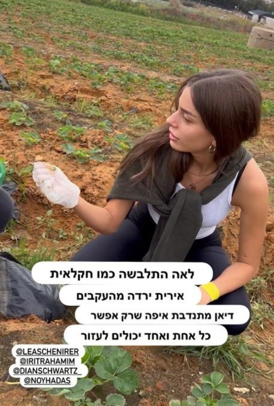 דיאן שוורץ (צילום: צילום מסך אינסטגרם)