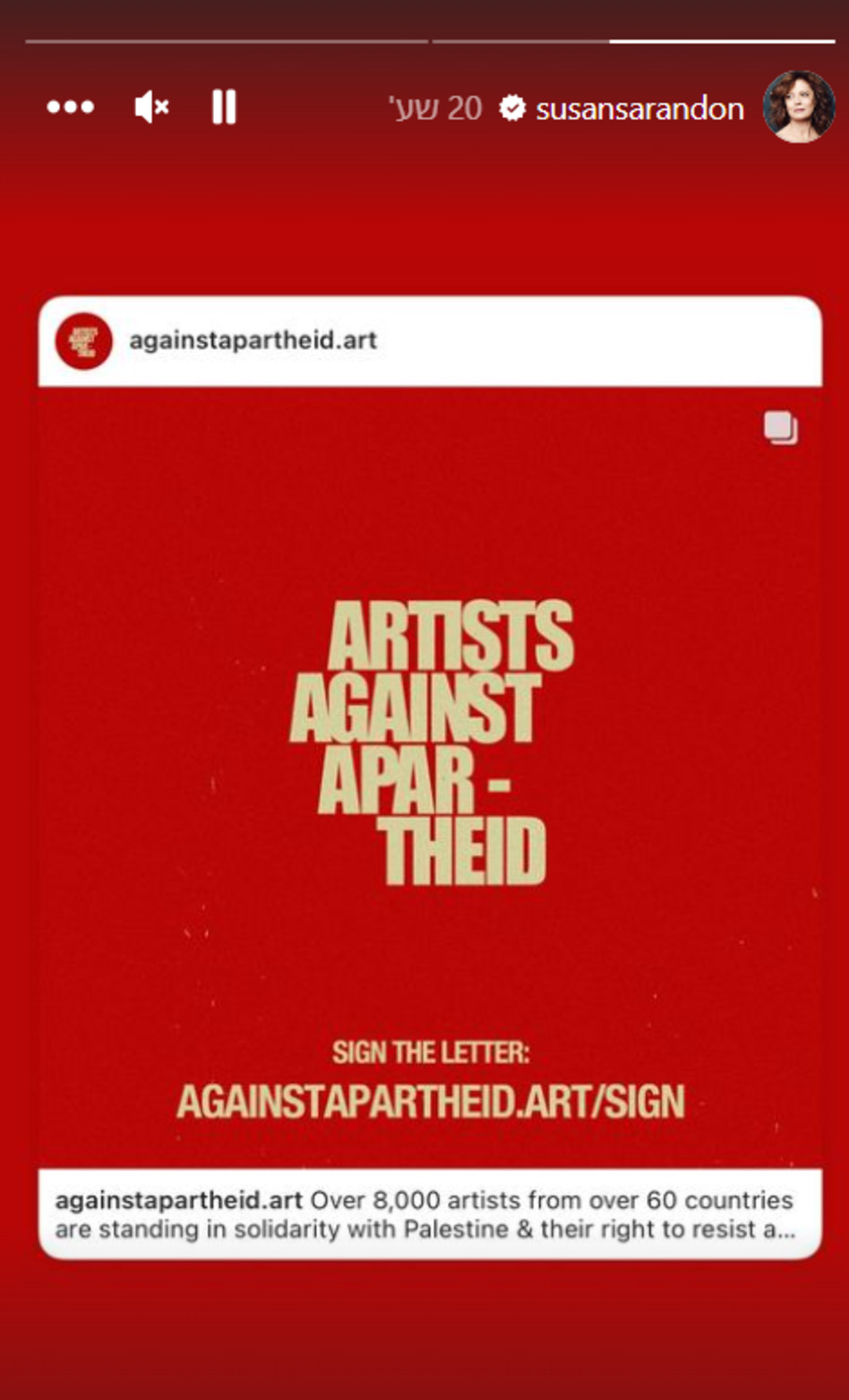 סוזן סרנדון נגד ישראל (צילום: צילום מסך אינסטגרם)