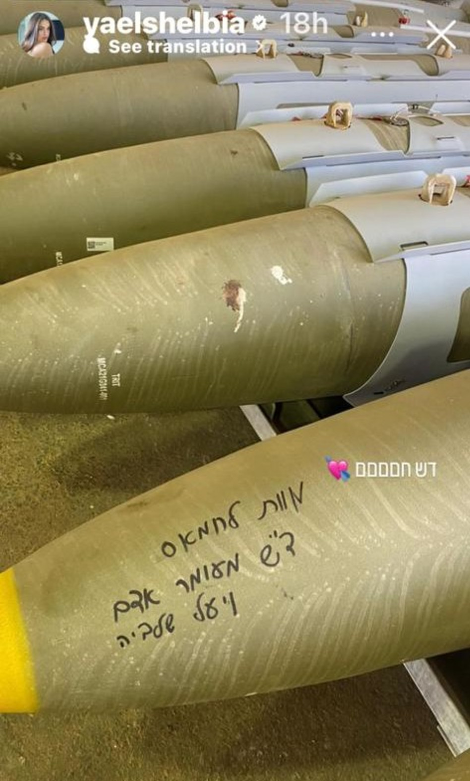 יעל שלביה (צילום: צילום מסך אינסטגרם)