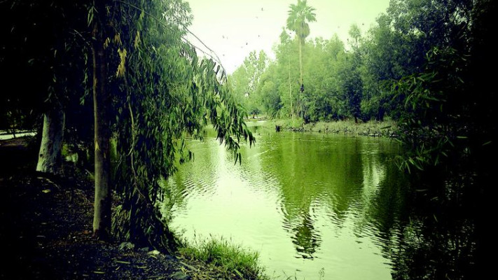 השמורה בקיבוץ כנרת. צילום: מיטל שרעבי 
