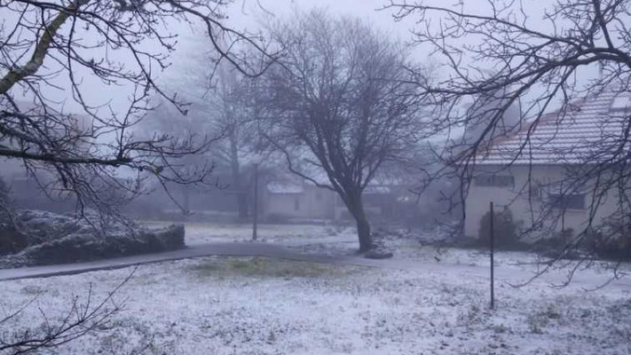 שלג באלוני הבשן. צילום: אלוני מור