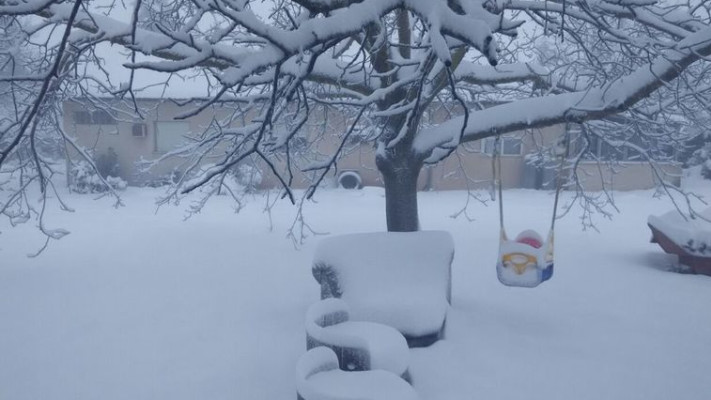 שלג באלוני הבשן. צילום: יסכה דקל