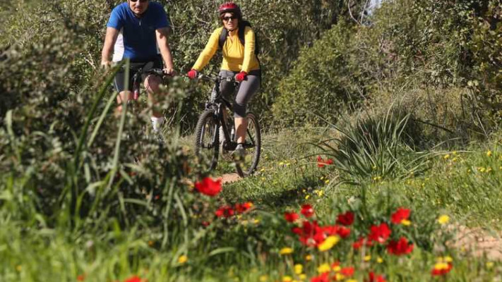 טיולי אופניים. אינסוף פעילויות זולות. צילום: פלאש 90