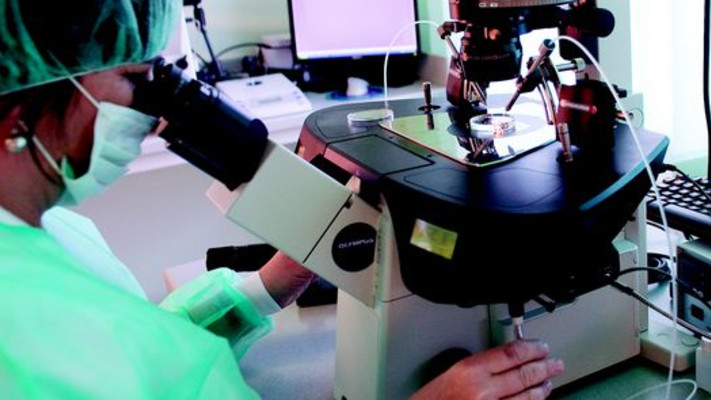 הפריה חוץ גופית