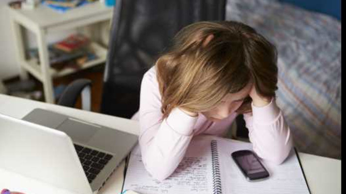 בריונות ברשת