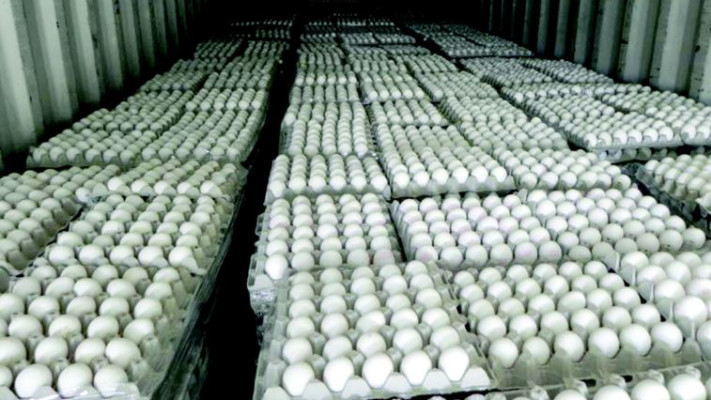 צילום אילוסטרציה: משרד החקלאות ופיתוח הכפר