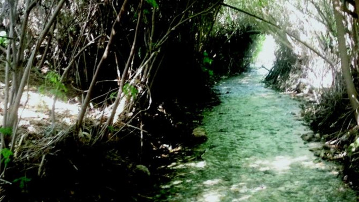 השביל הרטוב בפארק המעיינות