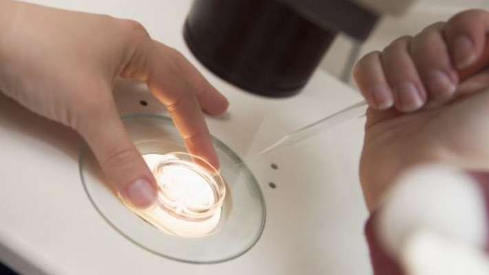 טיפולי פוריות