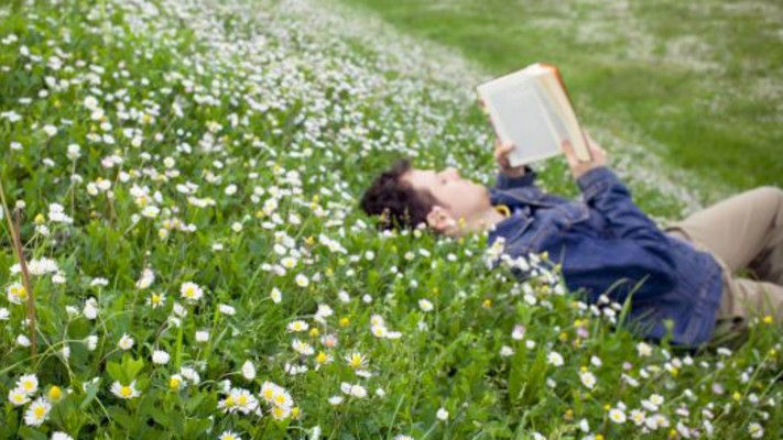 קריאת ספרים, אילוסטרציה