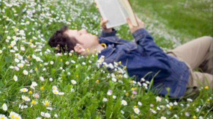 קריאת ספרים, אילוסטרציה