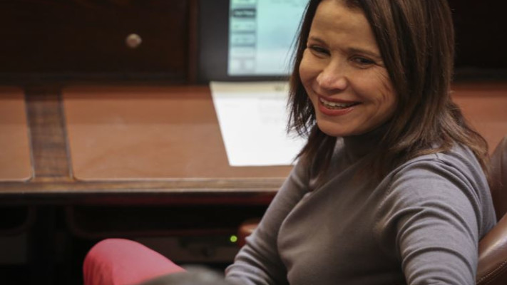 שלי חימוביץ', הגיעה להבנות עם הרצוג על דחיית הפריימריז. צילום: פלאש 90