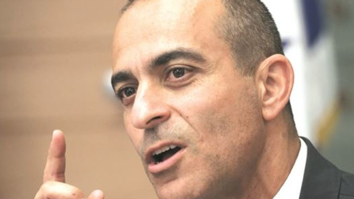 רוני גמזו (צילום: הדס פרוש , פלאש 90)