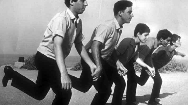 התרנגולים של נעמי פולני