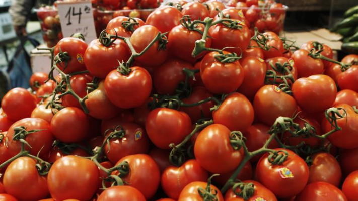 עגבניות, עגבנייה