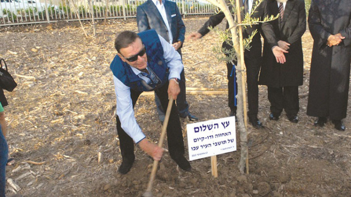 מיכאל שטראוס