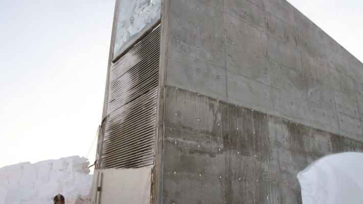 כספת הזרעים הגלובלית