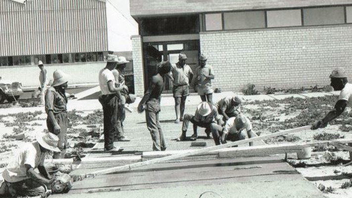 תחילת העבודות בכור, הכור בדימונה