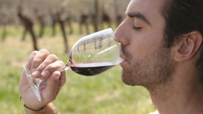 יין אדום, בריאות