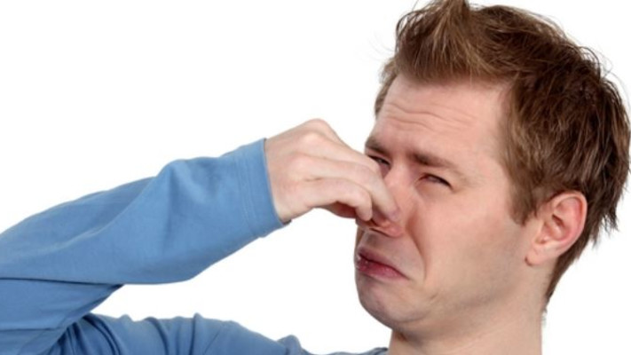 סירחון, פלוצים