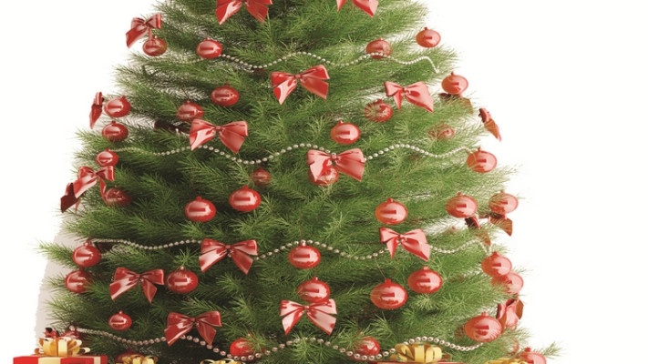 &quot;גם ביאליק וגם אחד העם חגגו נובי גוד&quot; צילום: אינג אימג'